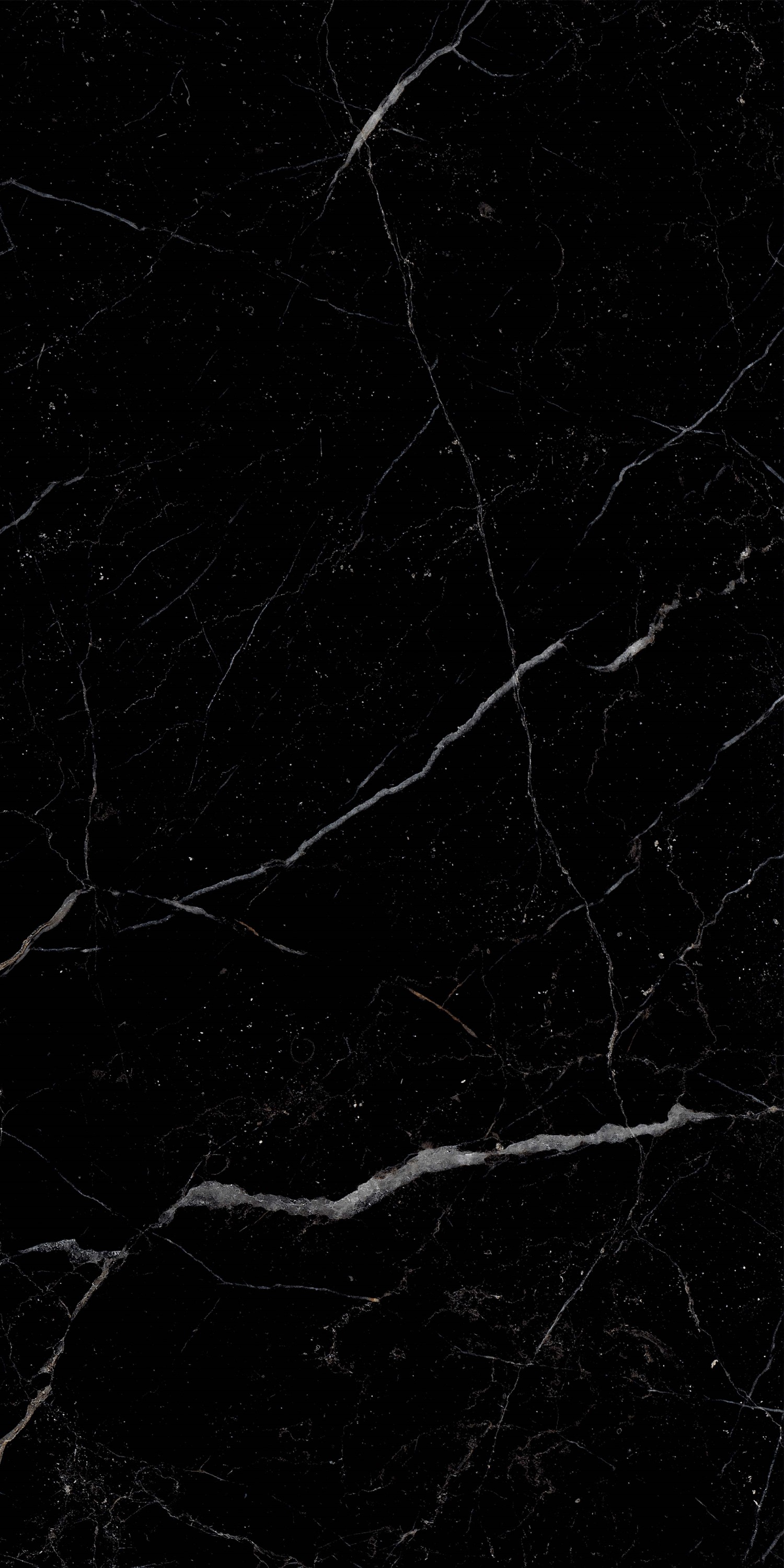 Royal Black Hight glossy 60x120 Realistik фото 4