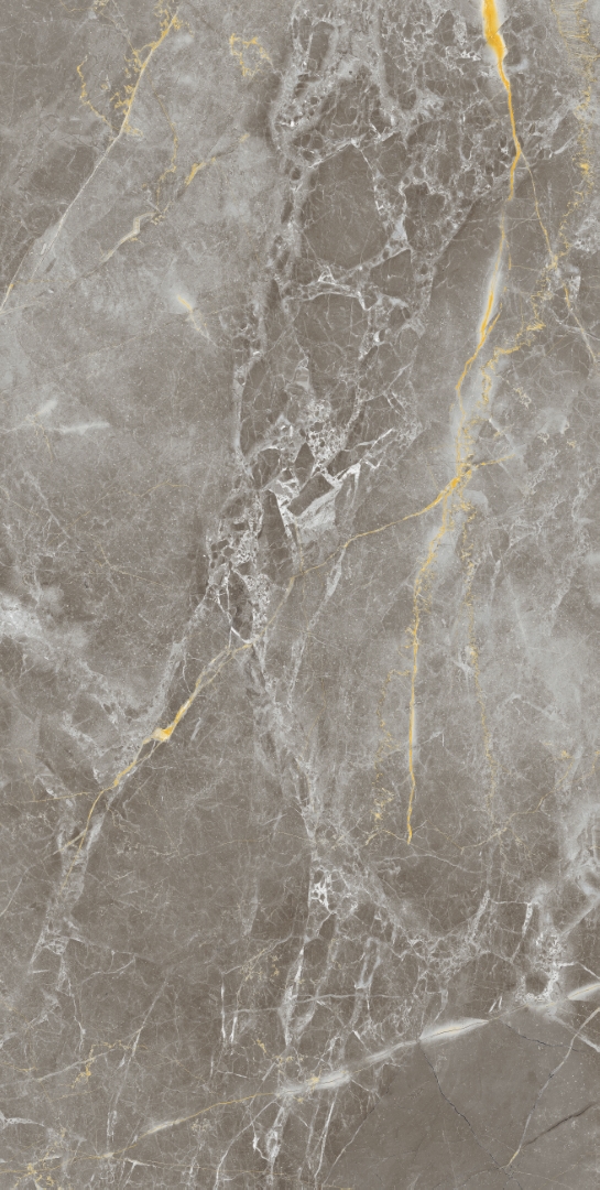 Zanetta Graphite Glossy 60x120 Modern Tile