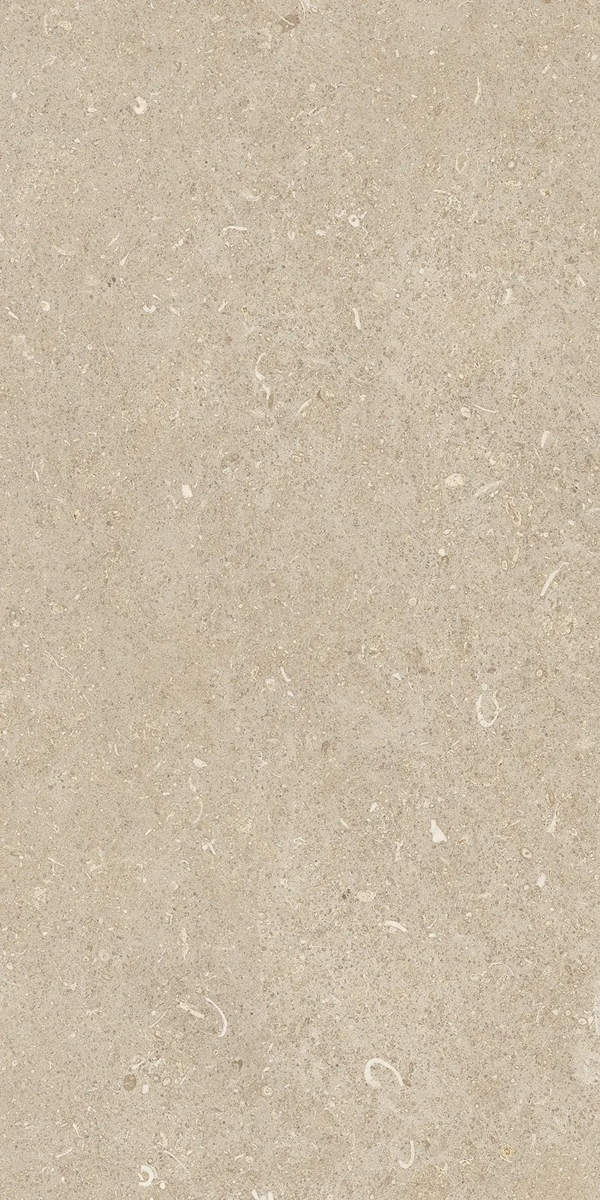 785501 Rinascenza Arena Conchiglia Grip 30x60 Casa Dolce Casa фото 5