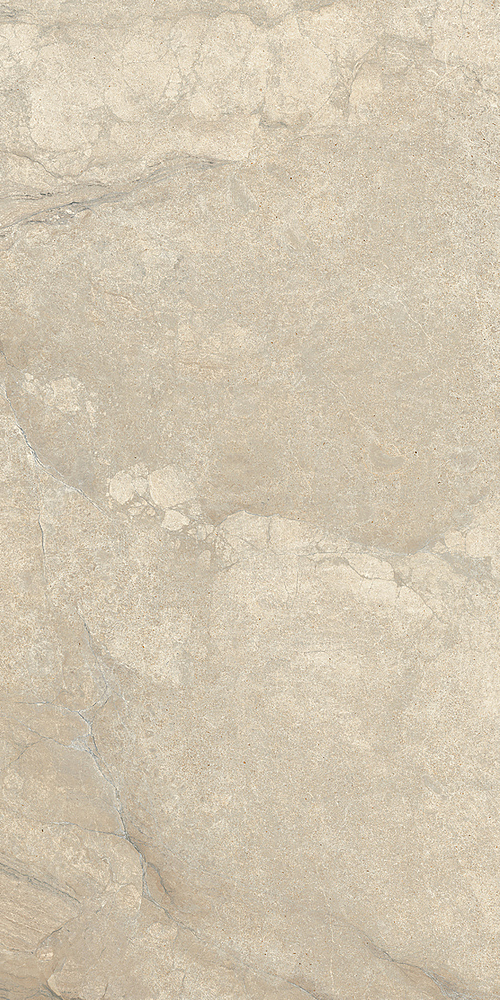 LGXAL25 Anthology 02 Desert Nat. RT 9.5mm 60x120 Lea Ceramiche