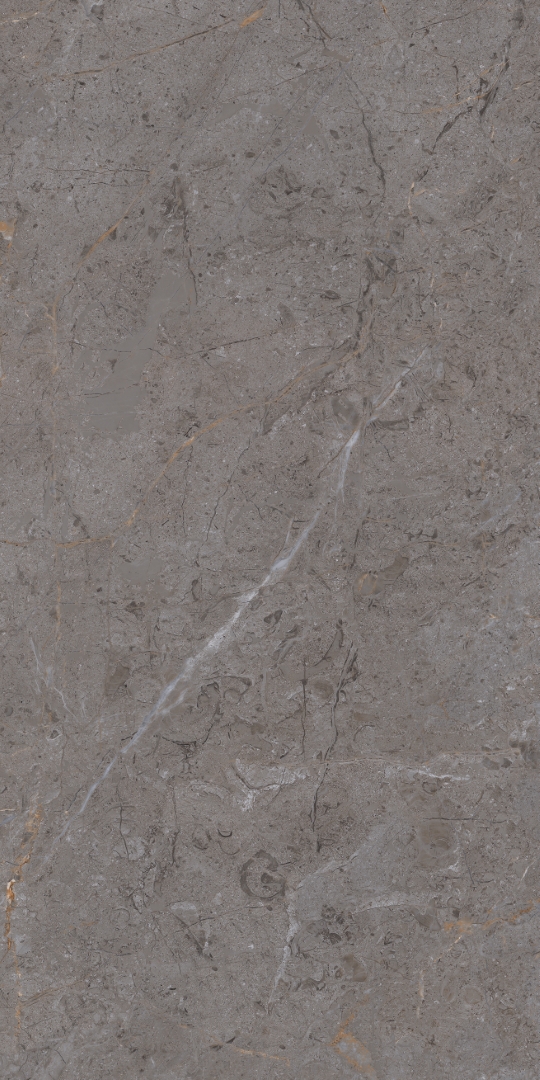 PT12P7057 Verona Pol 1200х600х9 Protiles