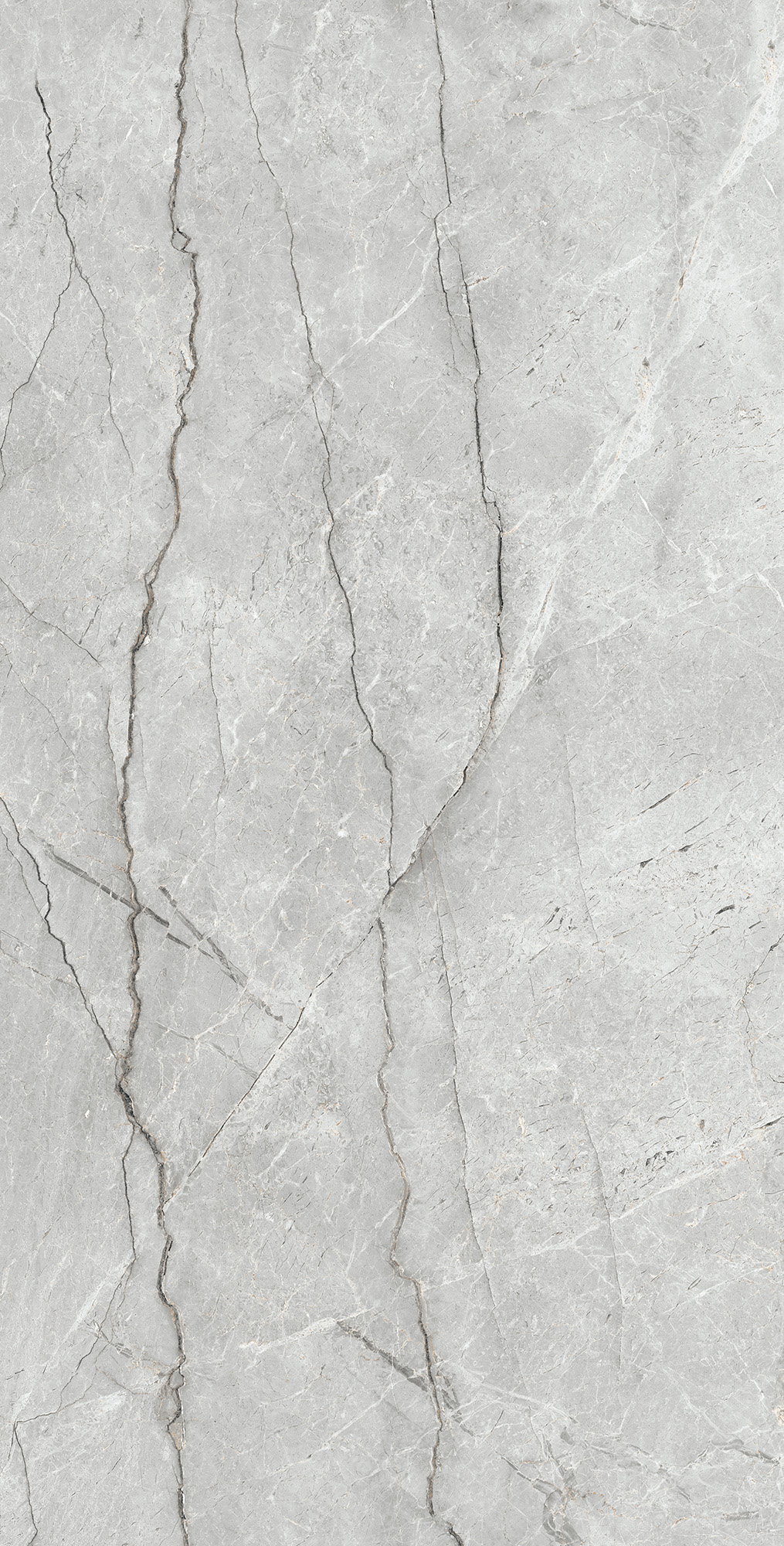 CR4013-A Condor Light Grey Carving 60x120 Arcadia Ceramica