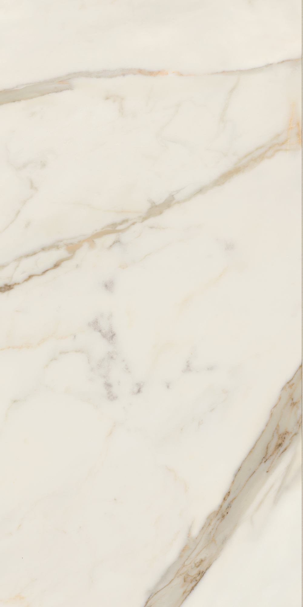 AIAT Golden White Matt RT 60x120 Caesar