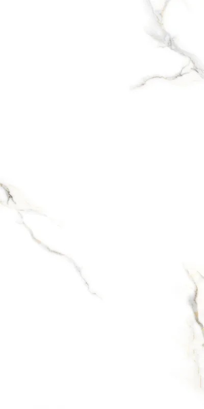 Zoom Satuario Carvng 60х120 Embito Granito