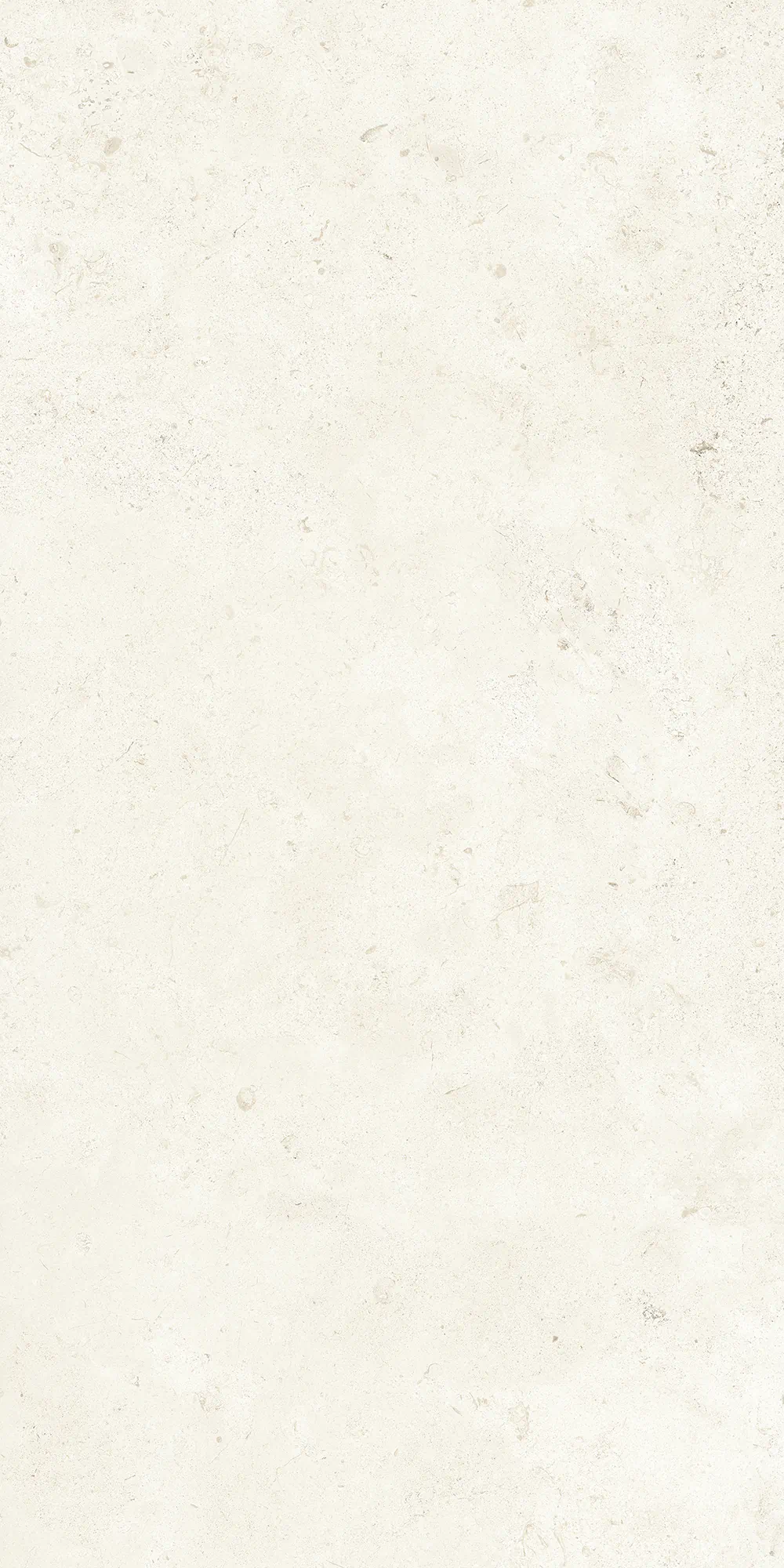 B71606 Lithoteke French Stone Nat RT 60x120 Bottega