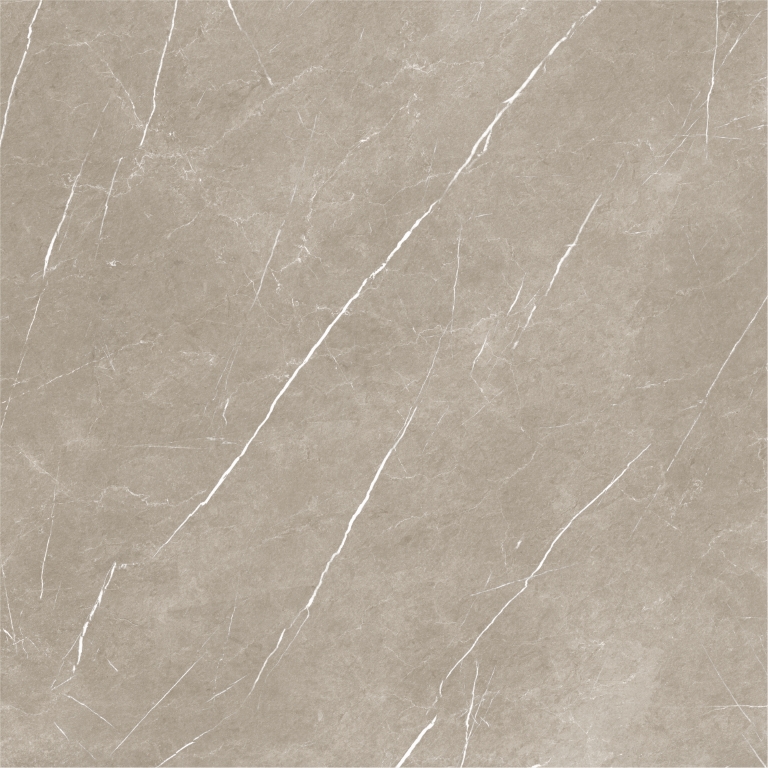 Eternal Taupe Natural 120x120 Baldocer