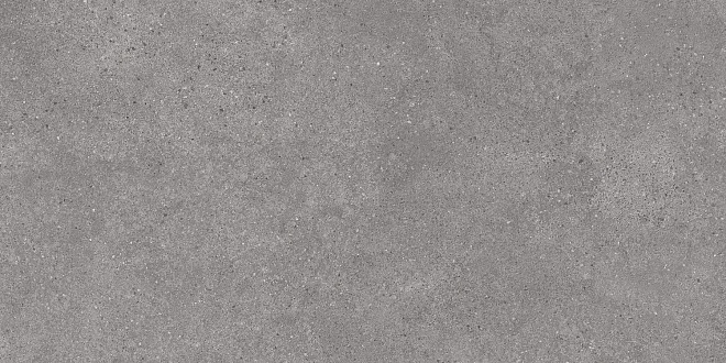 DL590100R Фондамента серый обрезной 119,5х238,5 Kerama Marazzi