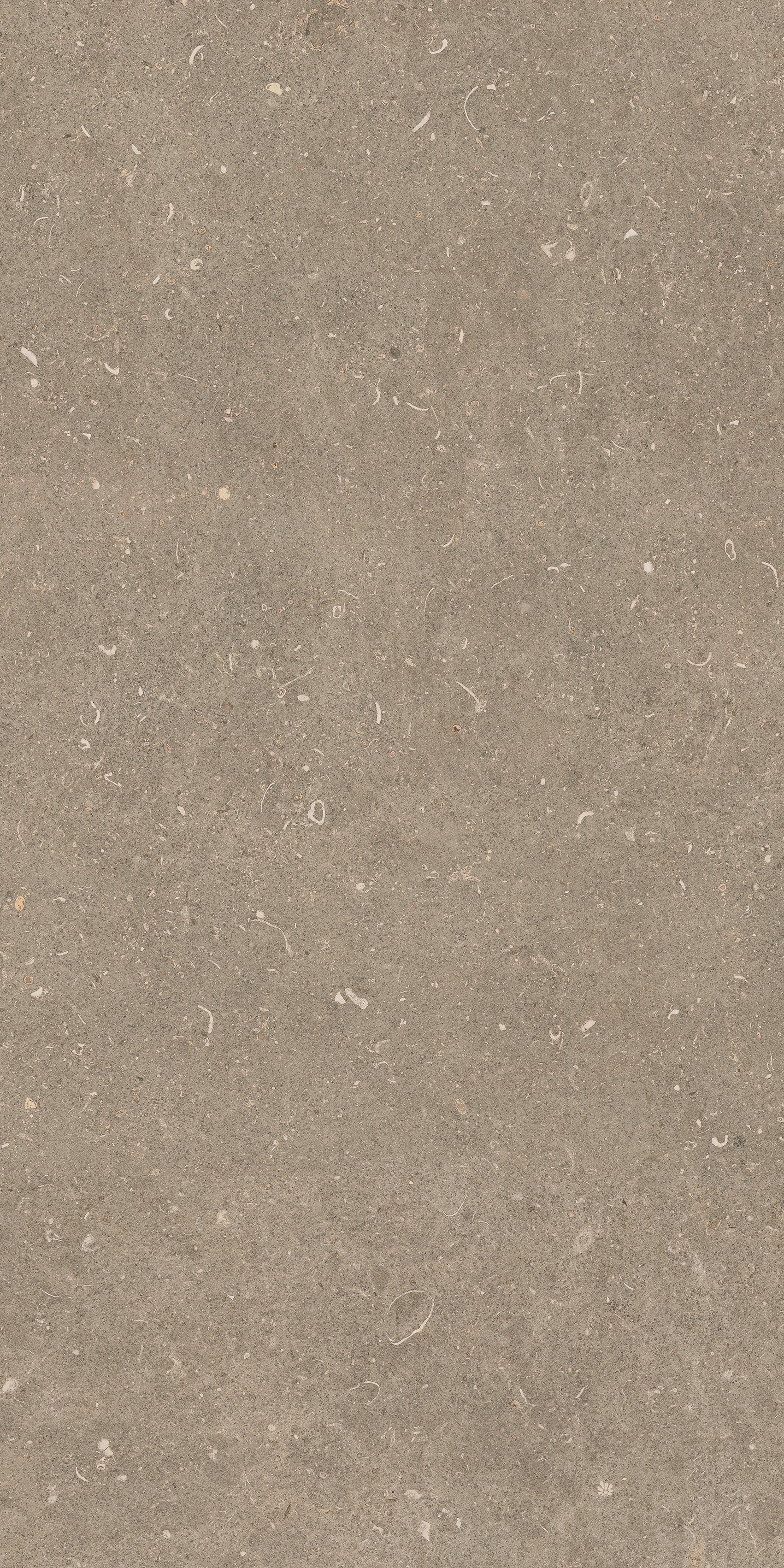 785494 Rinascenza Arena Pietra Grip 60x120 Casa Dolce Casa