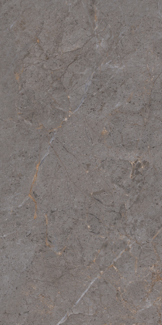 PT12P7057 Verona Pol 1200х600х9 Protiles