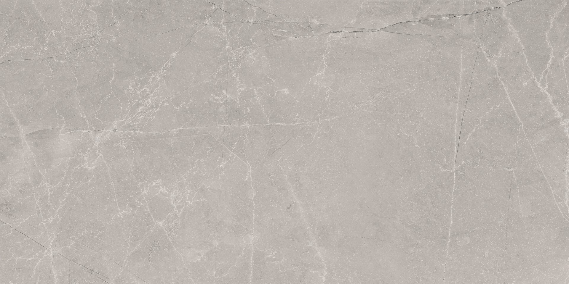 Bayona Silver Natural 60x120  Baldocer фото 9