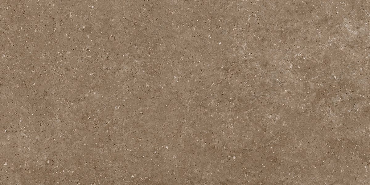 G214 Arkaim Brown MR 60x120 Гранитея