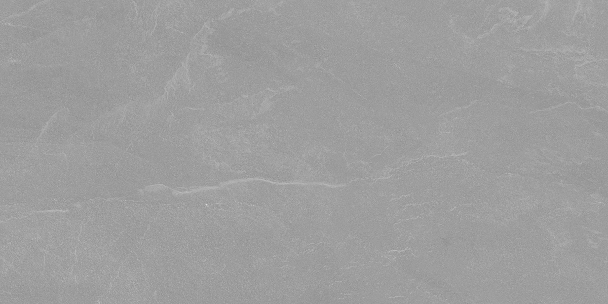 Archie Grey Pro серый матовый R10GR STR 60х120 Laparet