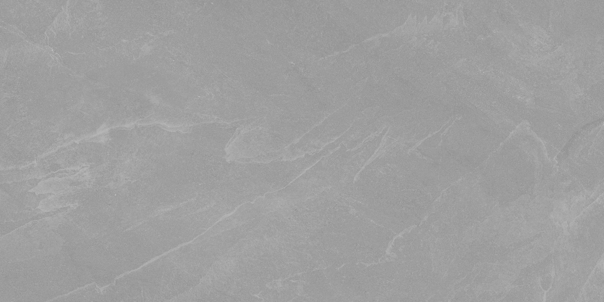 Archie Grey Pro серый матовый R10GR STR 60х120 Laparet