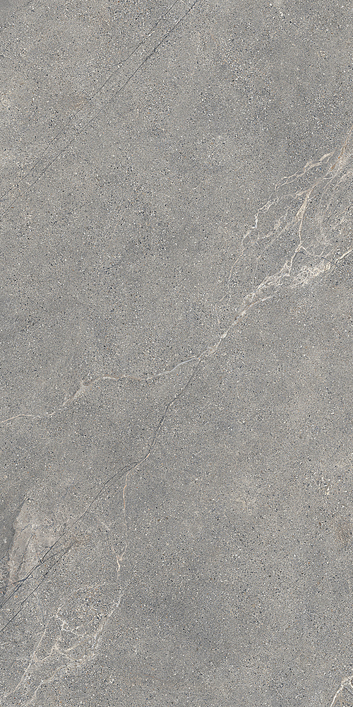 LGXAL45 Anthology 04 Gray Natural RT 9.5mm 60x120 Lea Ceramiche