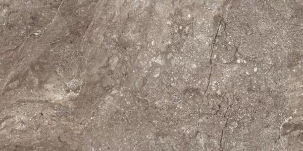 6405 Stone Grey Polished 60x120 Leopard