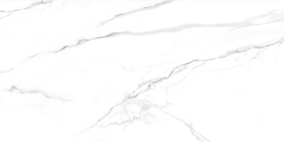 NR208 Milos White 60x120 PrimaVera