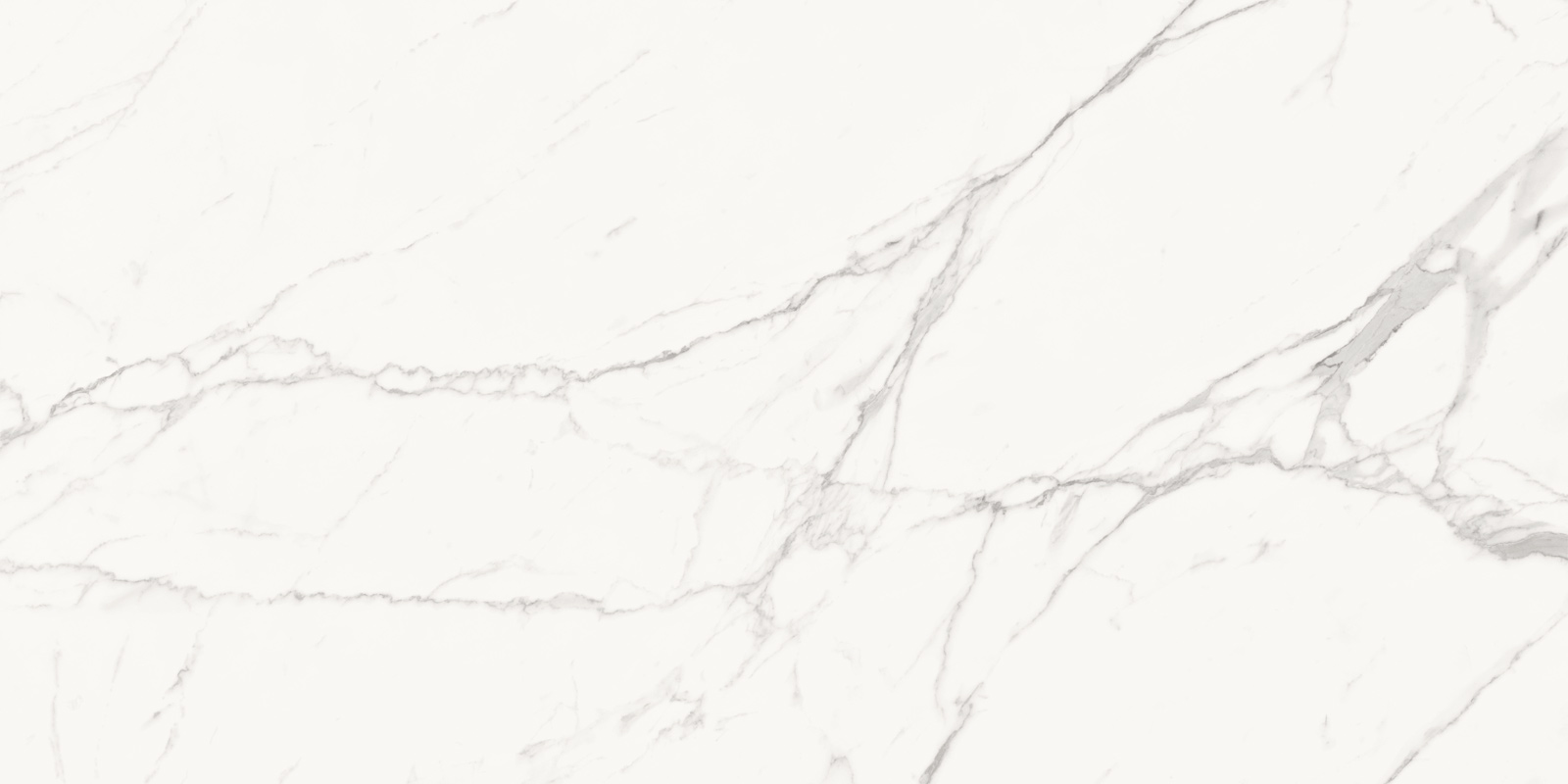 60120PFC15M Porfido Carrara матовый 600x1200x9.5 Delacora