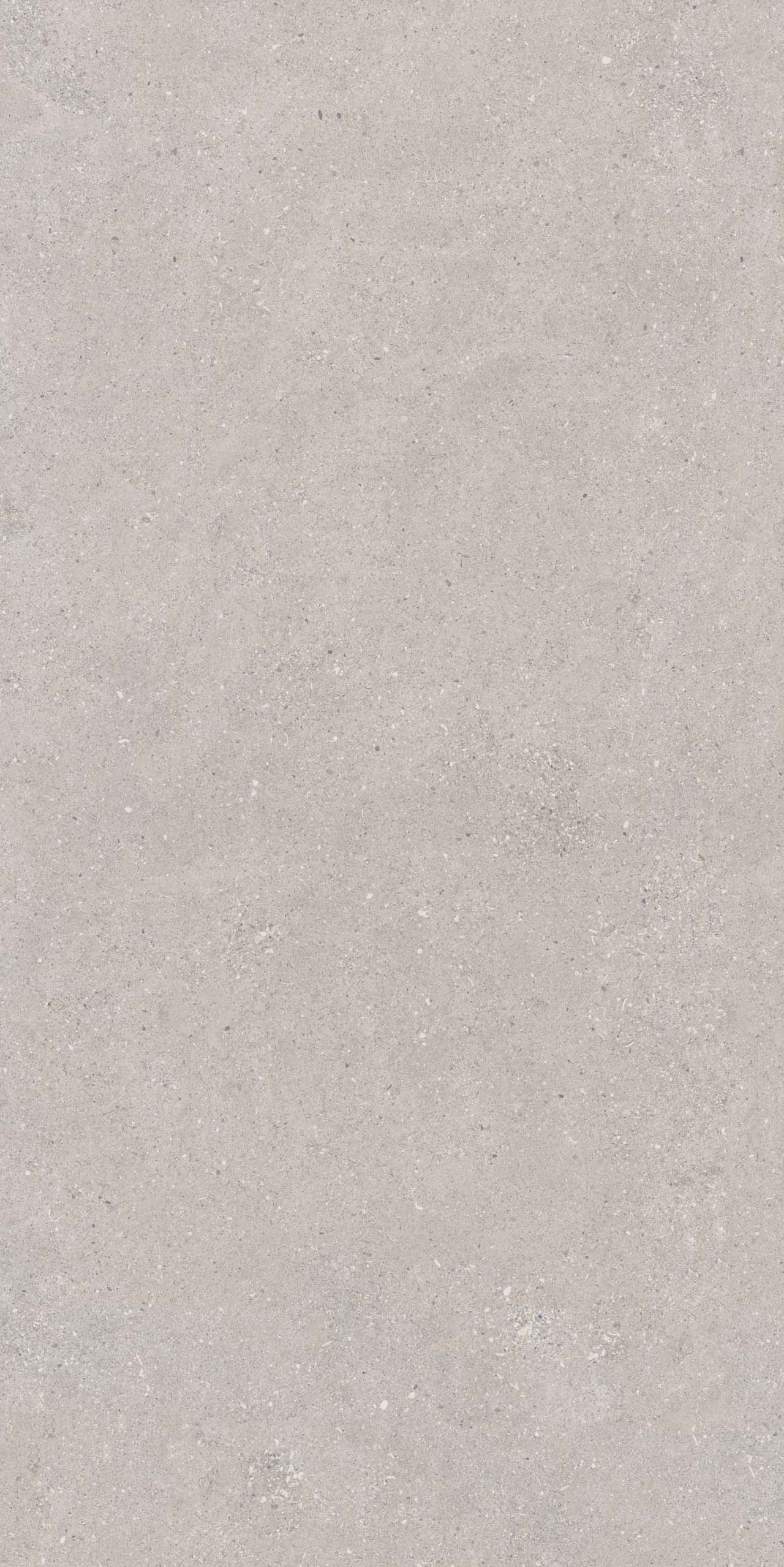 CE02 Спенс Светло-серый Структурированный Рект 60x120x9 Estima фото 5