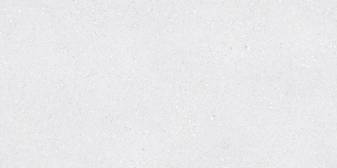 Sassy White Rec 60x120 TAU Ceramica