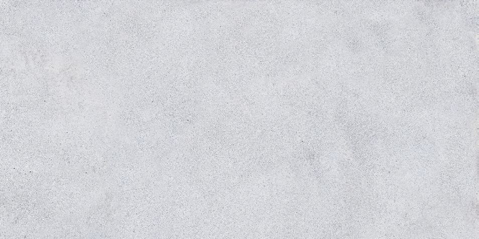 NR204 Elgon Light Grey 60x120 PrimaVera