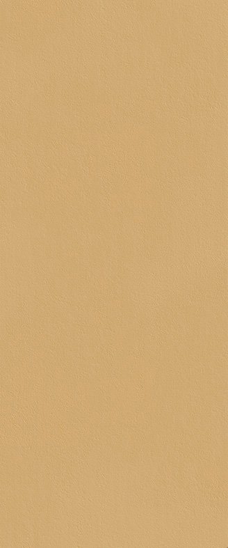 fTDS True Color Caramel Matt RT 50x120 FAP Ceramiche