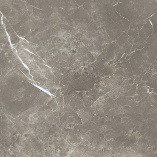 ECE3 Persian Grey Silk RT 60x60 Keope