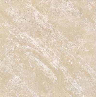 D602717BM Ice Age 60x60 Gani