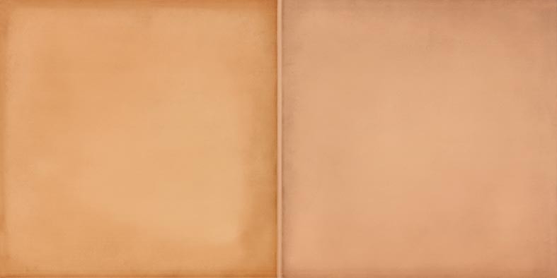 WARMB522 Retro Brick 20x40 RAKO
