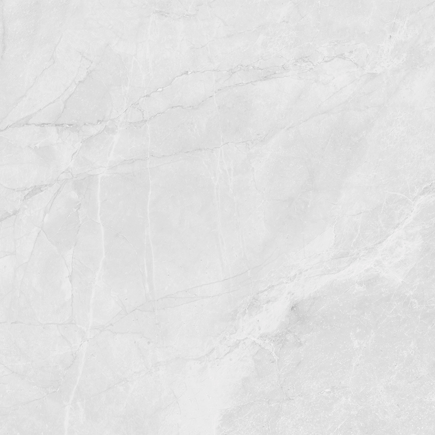 LP6060G0241R Berna Silver светло-серый матовый 59,5х59,5 Laparet