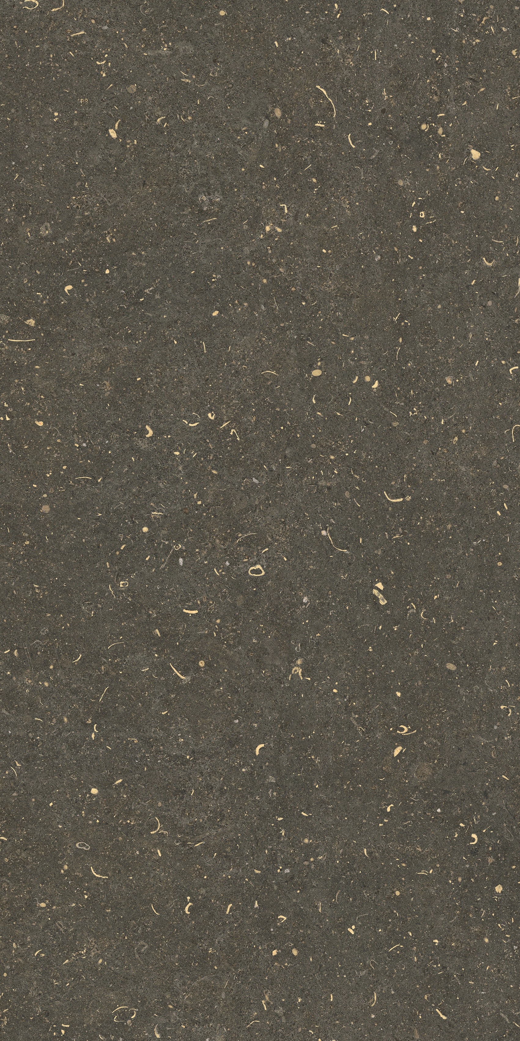 785495 Rinascenza Arena Platino Grip 60x120 Casa Dolce Casa