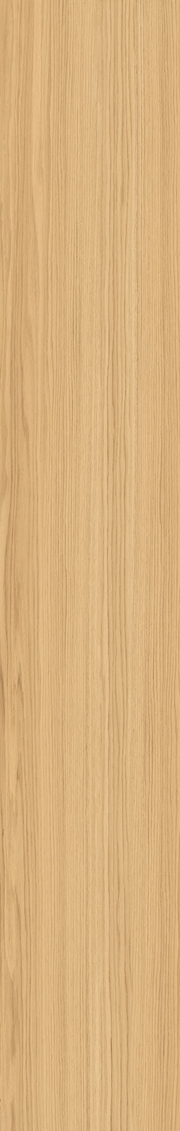 J94086 Oku Modern Honey 24x150 RHS (Rondine) Ceramiche