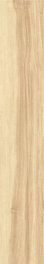 ZC 1223081 rect. 20x120 Bonaparte