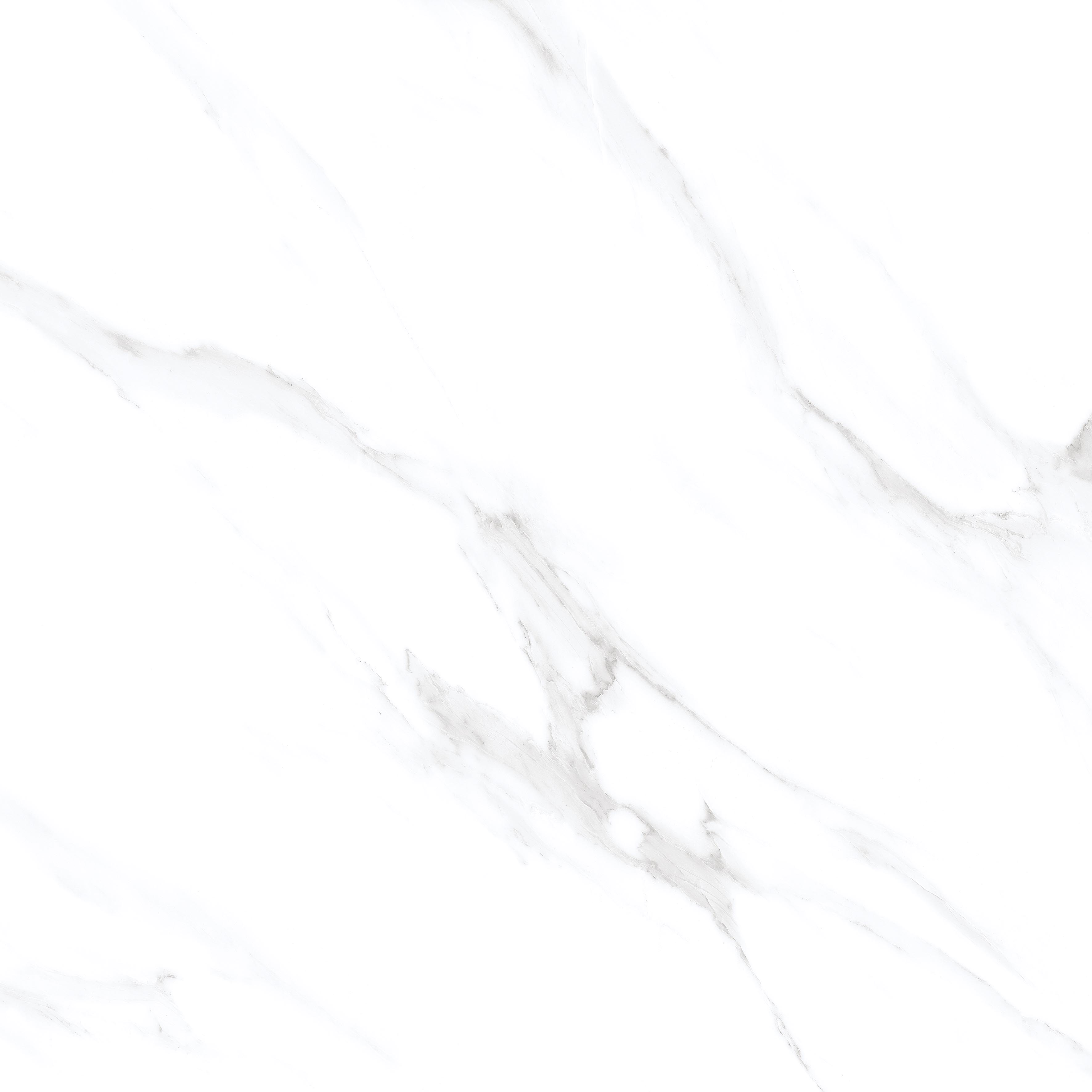 Statuario Venezia Glossy 60x60 Modern Tile
