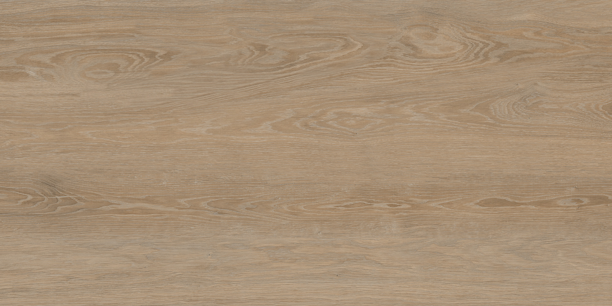 FO0L69M01 Forest Oak 60x120 Duna фото 2