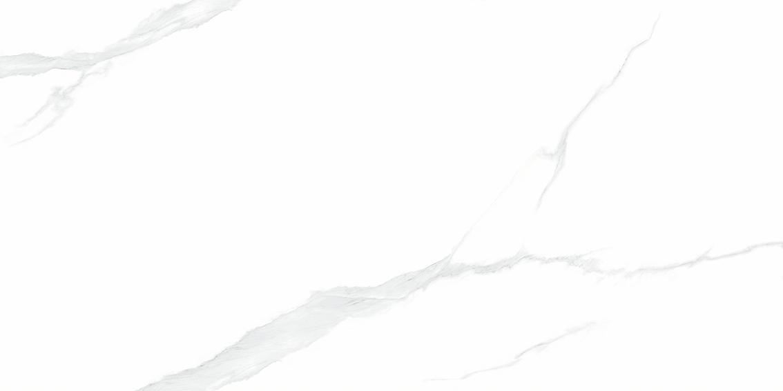 NTT9106P Statuario 60x120 NT Ceramic