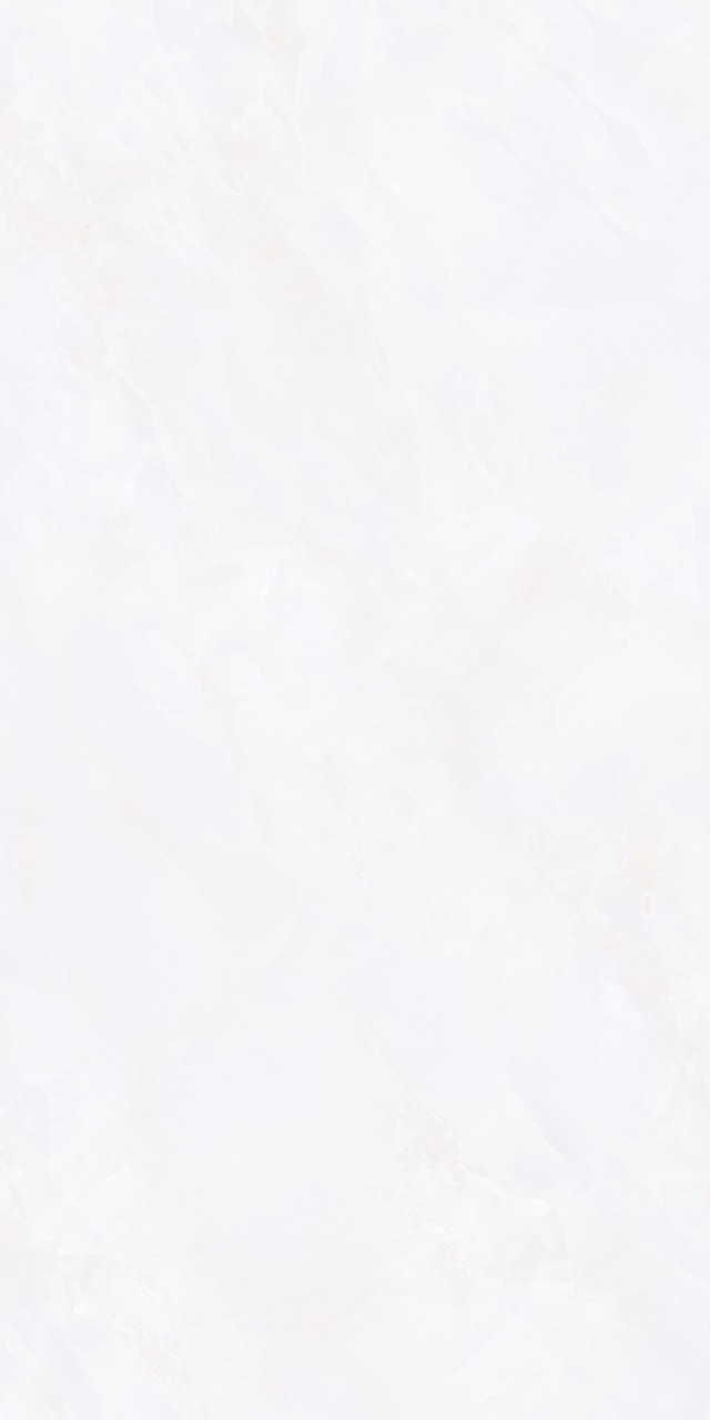 ZA-D12603 Glazed PR 1200x600x9 Vizavi