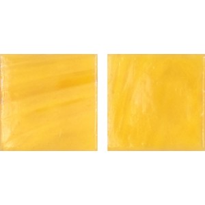 05-173 2x2 JNJ Mosaic