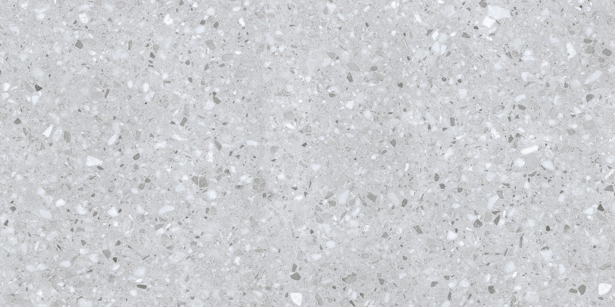 ENIND1039MT60120 Porto Silver Matt 120x60x0.9 Ennface