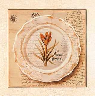25.8(420) Декор Herbarium 6 из 1 плитки 10x10 Factoria
