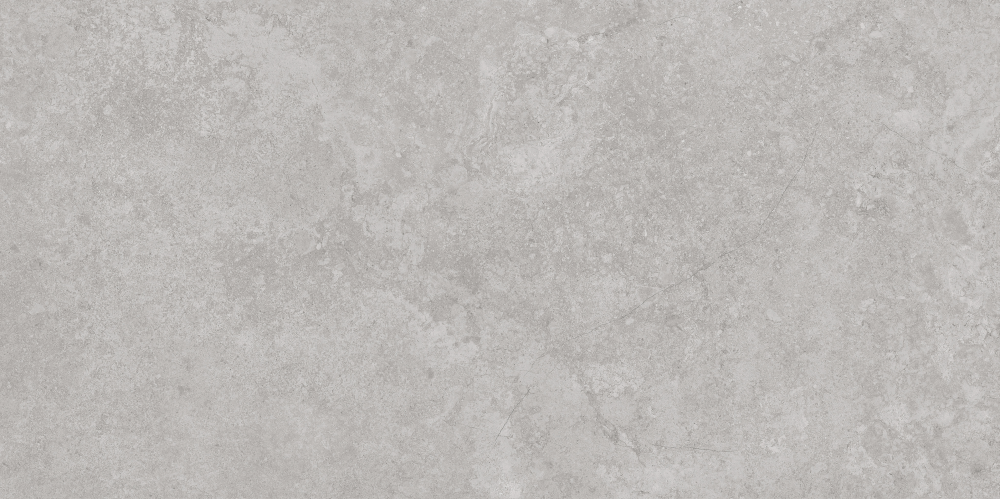 AVS-107 Antica Silver Lappato 600x1200 AVS фото 4