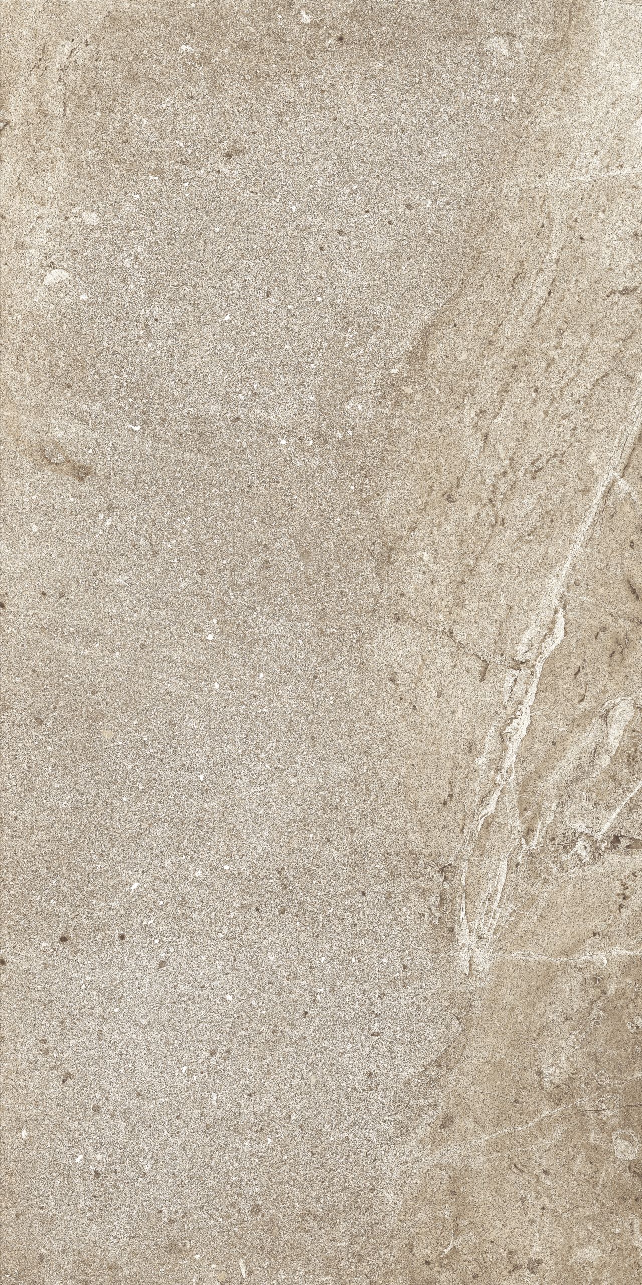 KA03 Kailas Light Brown Неполированный Рект. 60x120х9 Ametis by Estima фото 7