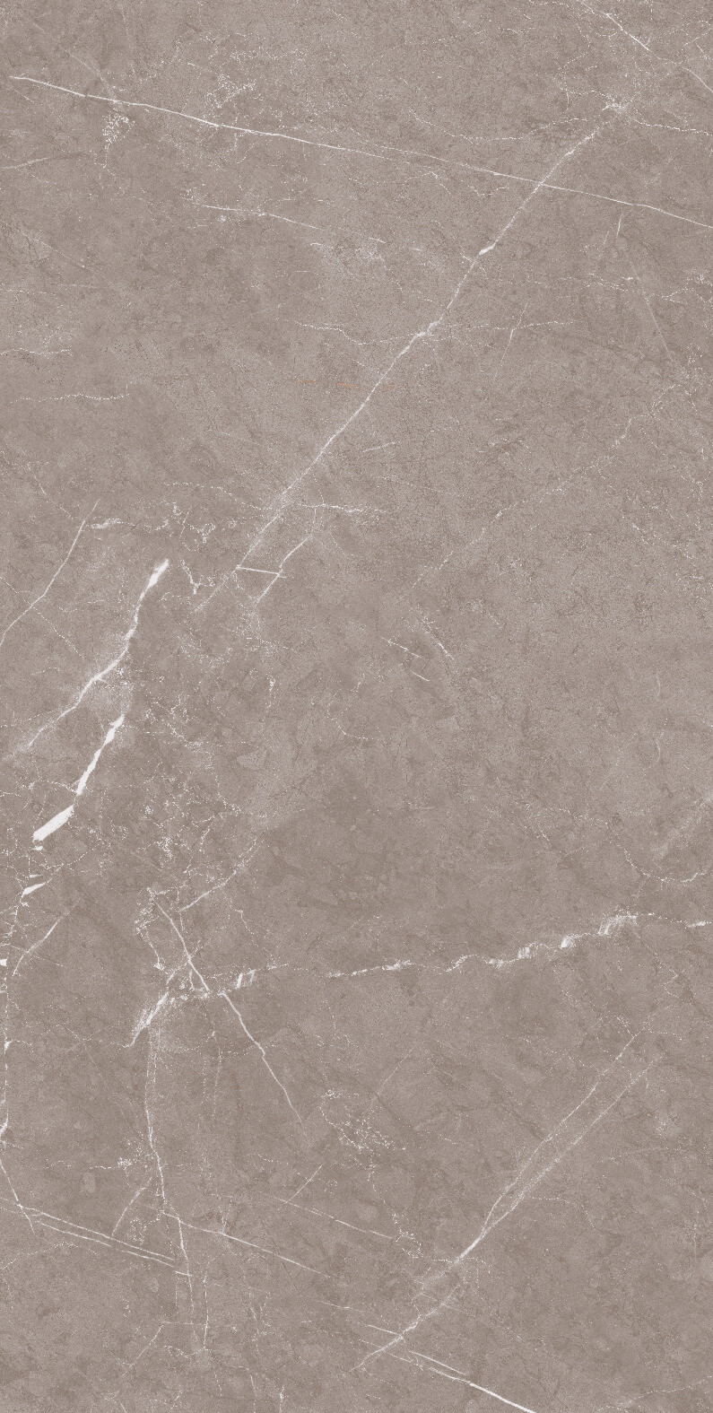 1070 Monte Taupe Carv 120x60 Artcer