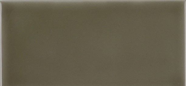 ADST1013 Liso Eucalyptus 7,3х14,8 Adex