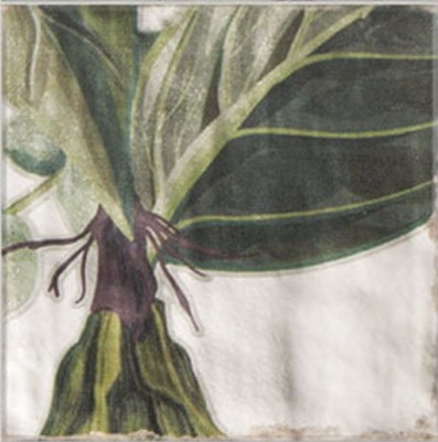 DECOR PROTEA 20x20 Mainzu