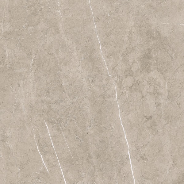 Lyon 9535 Vison 5059 Rectificado 50x50 Porcelanite Dos