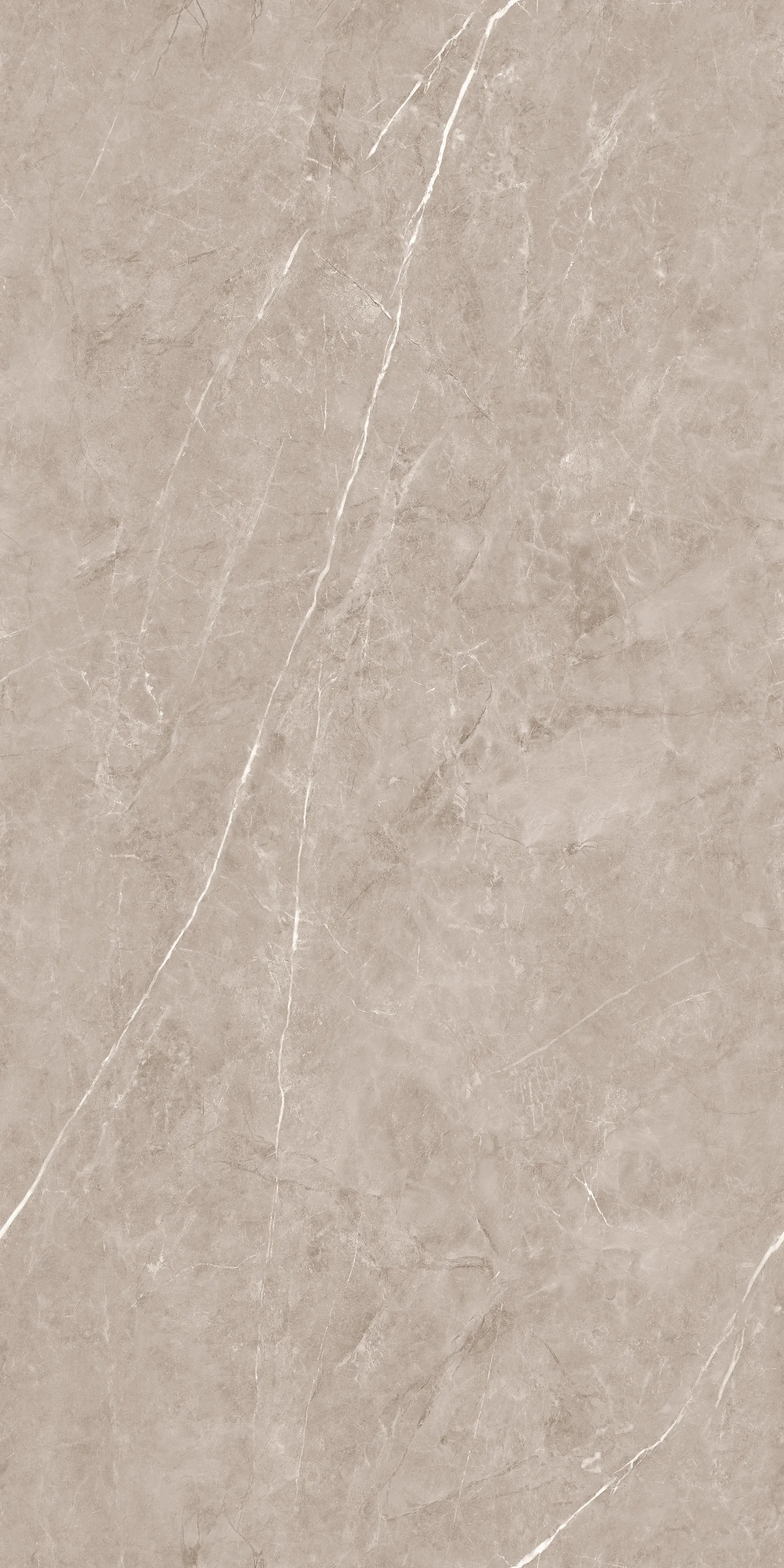 Flurry Taupe Carving 60x120 Duna фото 3