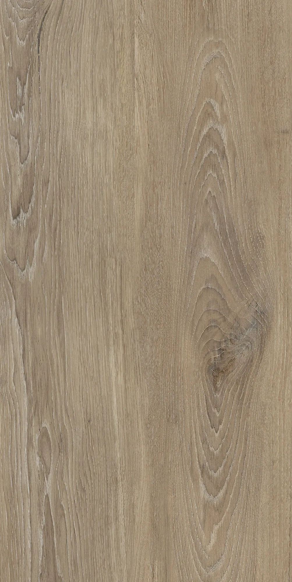 40683 Verbier Honey 4D/50X100X2/A/R 50x100 Peronda