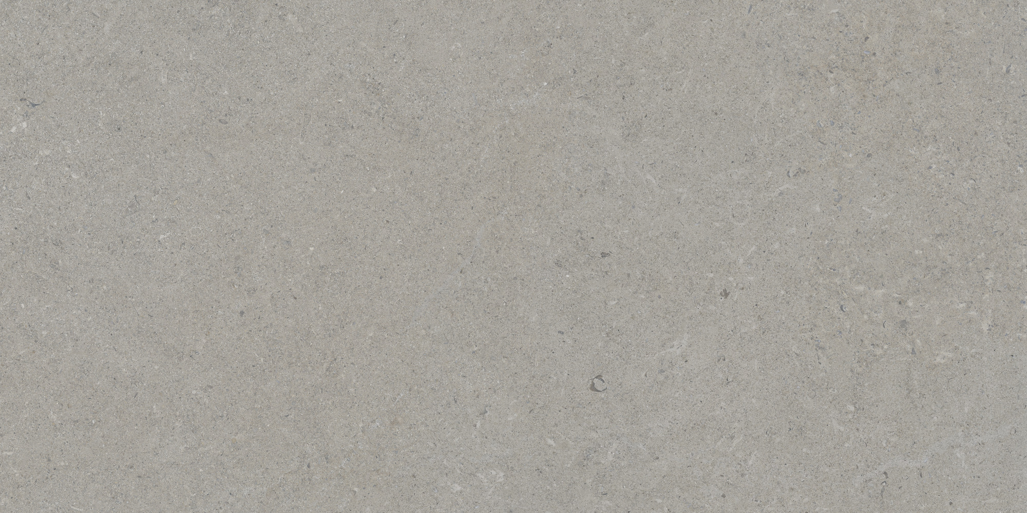 Calcare Silver 60x120 TAU Ceramica фото 8