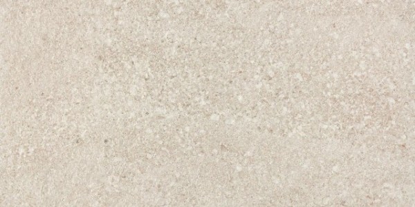DARSE669 brown 30x60 RAKO