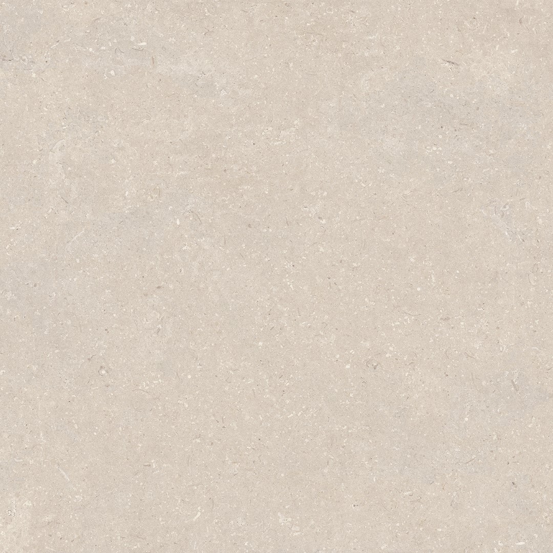 100330176 Coral Caliza L 120x120 Porcelanosa фото 7